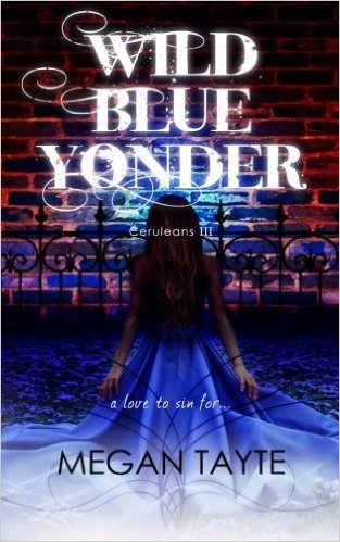 WILD BLUE YONDER By Megan Tayte