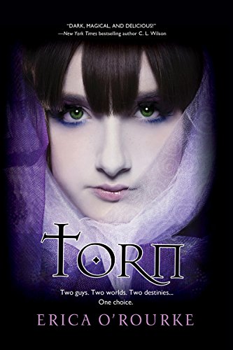 TORN By Erica O’Rourke