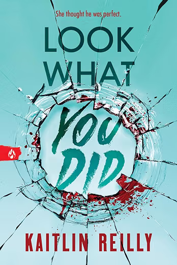 LOOK WHAT YOU DID By Kaitlin Reilly